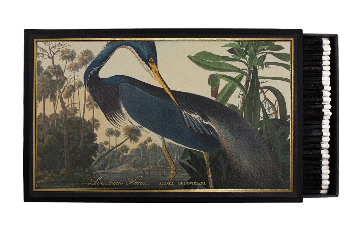 Louisiana Heron Giant Matches