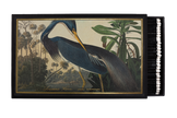 Louisiana Heron Giant Matches