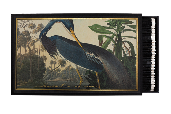 Louisiana Heron Giant Matches